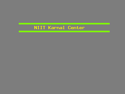 NIIT Karnal Center