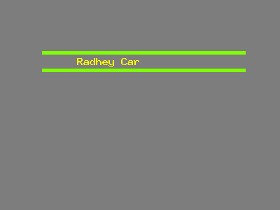 Radhey  Car 
