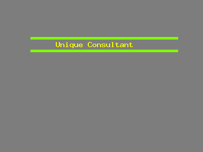 Unique Consultant
