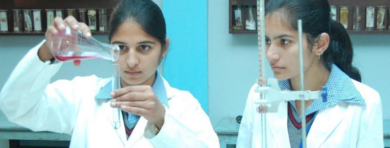 OPS International School