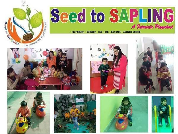 Seed To Sapling Playschool
