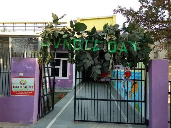 Seed To Sapling Playschool