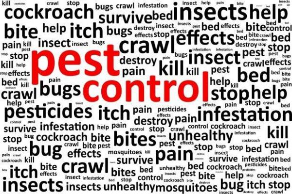 Qms Pest Control