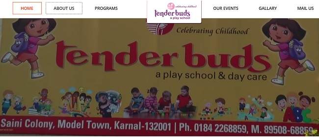 Tender Buds Play School