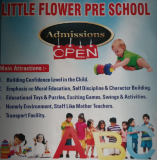 Little Flower Pre School