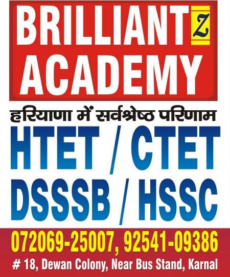 Brilliant z Academy 