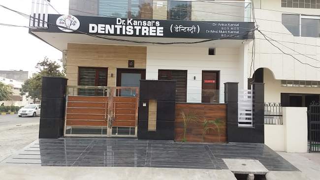 Dr. Kansal's Dentistree