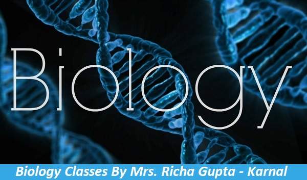 Biology classes by Mrs. Richa Gupta