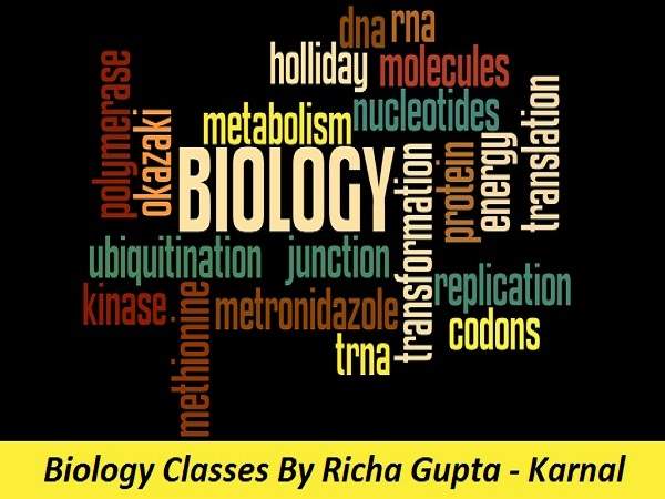 Biology classes by Mrs. Richa Gupta