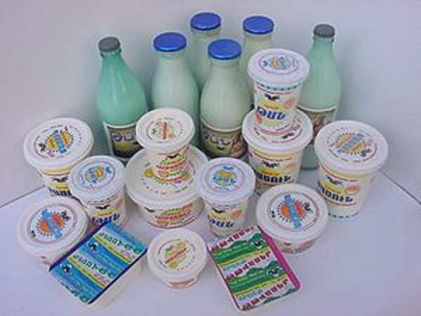 Ganesh Dairy
