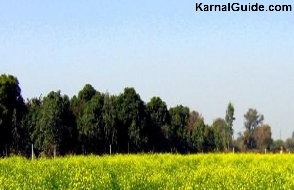 Karnal